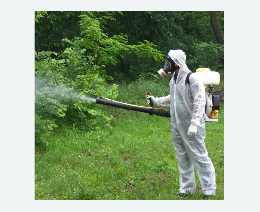 обработка дачи от клещей обработка территории от клещей в Билибино