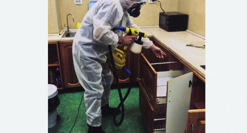 Уничтожение насекомых в квартире. Билибино