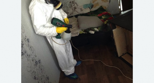 Обработка квартир от насекомых в Билибино