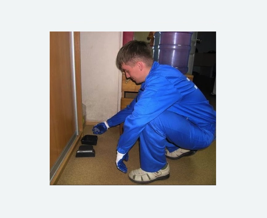 Дератизация крыс в Билибино