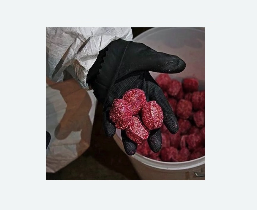 Обработка от крыс в Билибино