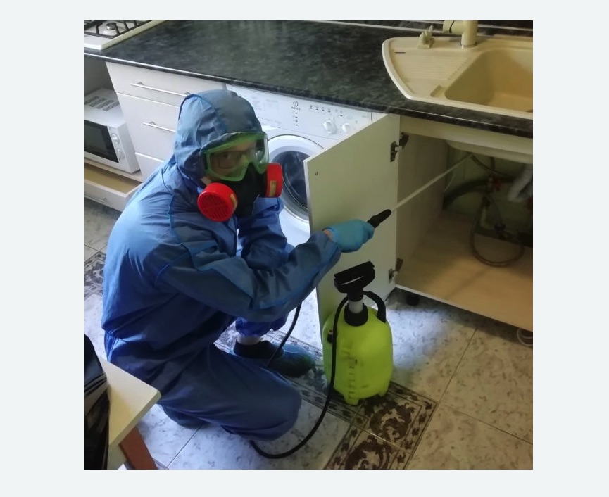 обработка от муравьев в квартире в Билибино