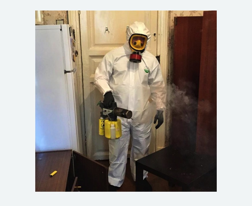 уничтожение муравьев в квартире в Билибино